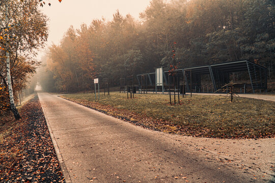 Ścieżka rowerowa, Żelazny Szlak Rowerowy na Śląsku w Polsce jesienią