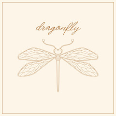 Art nouveau style dragonfly insect basic element. 1920-1930 years vintage design. Symbol motif design.