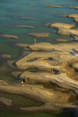 people playing on the mud beach in sunset
