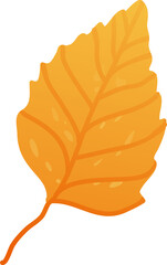 Autumn leaf. Fall leaves illustration