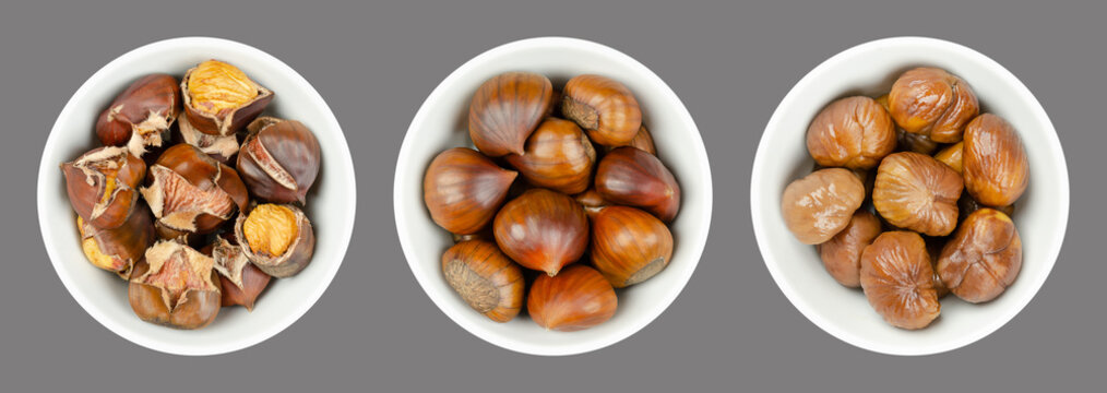Unshelled, roasted and boiled chestnuts, marrons in white bowls over gray. Sweet chestnuts, Castanea sativa, eaten raw, candied, cooked, milled into flour, or roasted as warm snack, sold on streets.