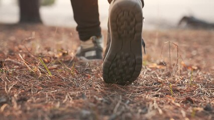 Hiking in the forest. Tourist shoes in the forest park. People travel in nature. Summer woman legs in nature park. Adventure tourist on vacation. Tourist feet in the forest park. Trekking Hiking