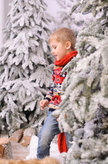 a little boy in a sweater and a red scarf, among the snow-covered trees of fir trees