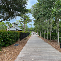 The wooden walking and bike trail in Watercolor, Florida.