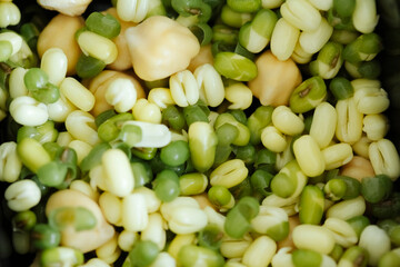 mung bean seedlings and chickpeas. view from above. raw food and healthy eating concept