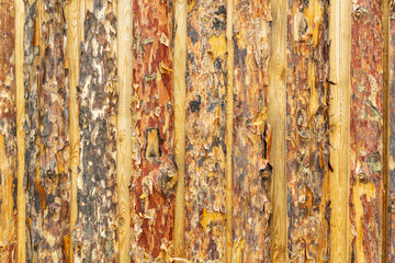 Rustic wooden planks texture background for design. Wood planks texture background.