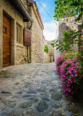 View on the narrow but beautiful cobblestone street of the medieval village of Lanas, in the south of France (Ardeche)