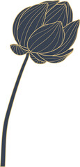 Gold lotus flower illustration
