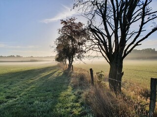 Herbstlandschaft im Nebel