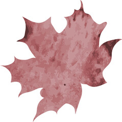 Watercolor maple leaf illustration