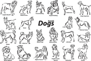 Fototapeta na wymiar black and white dogs breed design line art most popular brush stroke freehand draw vector illustration