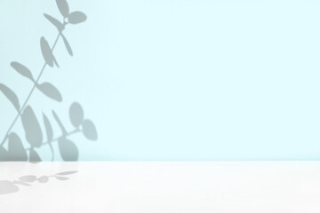 Plant shadows on cian color wall. Leaves shadow background. Branches, flowers and foliage on pastel...