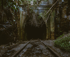 Haunted railway in the forest