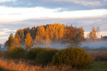 Fototapeta premium Colorful autumn landscape with trees and fog on field during sunrise