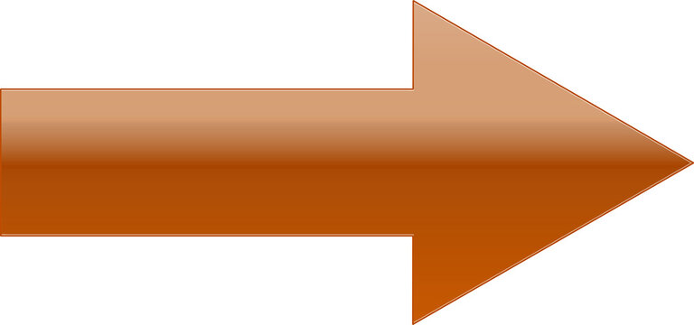 Orange Arrow Icon