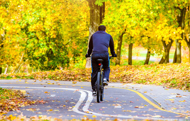 Fototapeta premium Cyclist ride on the bike path in the city Park 