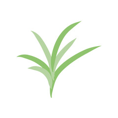 Nerdle Grass plant 