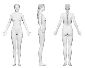 3d rendered medical illustration of a tall female body - 537535909