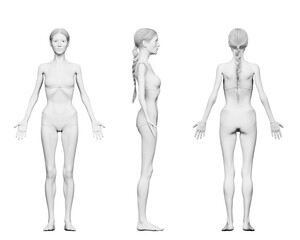 3d rendered medical illustration of a thin female body - obrazy, fototapety, plakaty