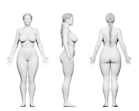 3d rendered medical illustration of a curvy female body