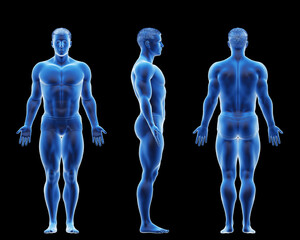 3d rendered medical illustration of a male bodybuilder body