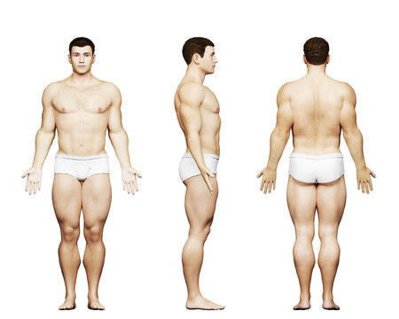 3d rendered medical illustration of a male bodybuilder body