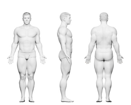 3d rendered medical illustration of a male bodybuilder body
