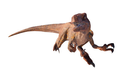velociraptor dinosaur roaring on a blank background PNG
