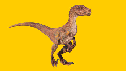 Obraz na płótnie Canvas velociraptor roaring dinosaur isolated on yellow blank background