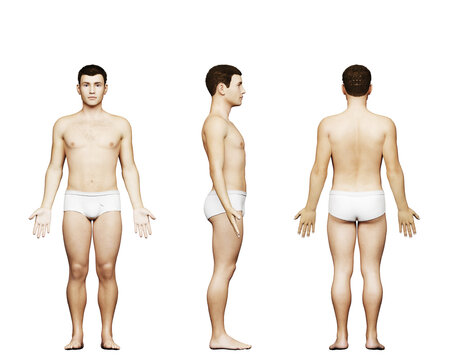 3d rendered medical illustration of a short male body