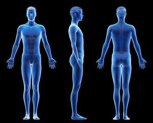 3d rendered medical illustration of a tall male body