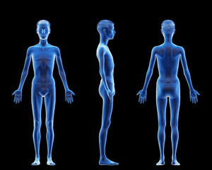3d rendered medical illustration of a thin male body