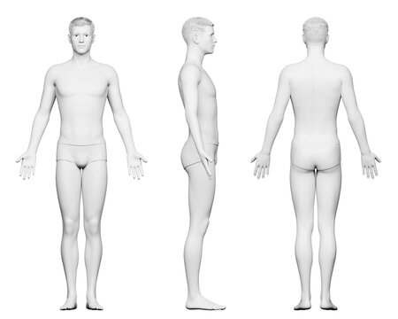 3d rendered medical illustration of a tall male body