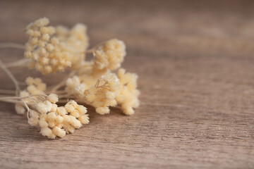 white dried flowers on brown background copy space