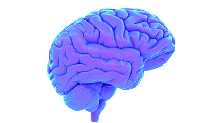 3d rendered medical illustration of an abstract human brain