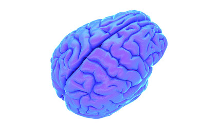 3d rendered medical illustration of an abstract human brain
