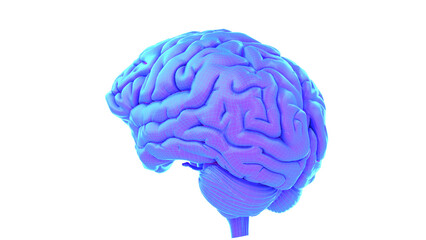 3d rendered medical illustration of an abstract human brain