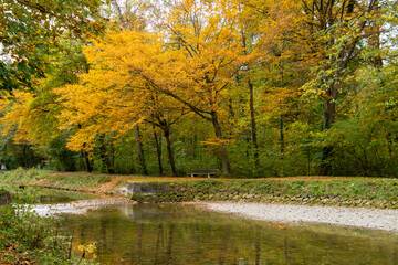 Goldener Oktober in Gelb und Orange