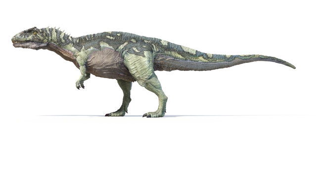 3d rendered dinosaur illustration of the Acrocanthosaurus