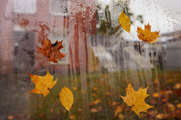 Autumn leaves and raindrops on window, rainy autumn day