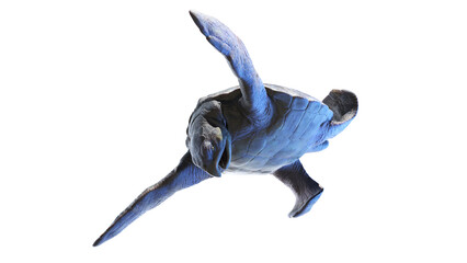 3d rendered dinosaur illustration of the Archelon © Sebastian Kaulitzki