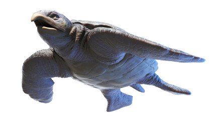 3d rendered dinosaur illustration of the Archelon © Sebastian Kaulitzki