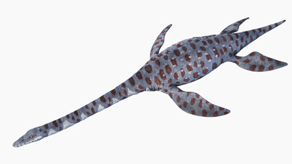 3d rendered dinosaur illustration of the Attenborosaurus