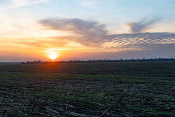 Dawn in Ukraine