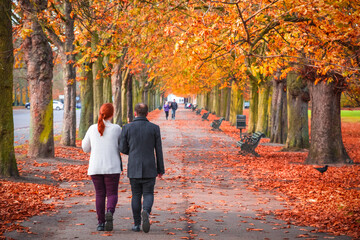 Couple walking on a treelined path in Greenwich park during autumn season in London, England