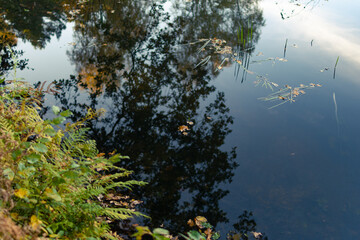 reflections on the lake

