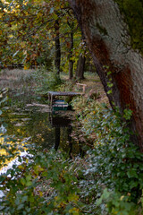 boat on the autumn pond
