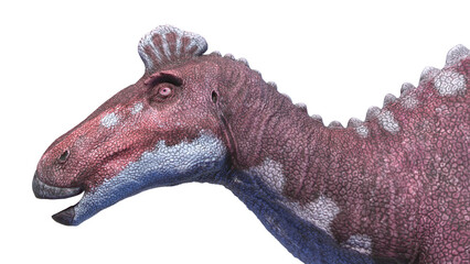 3d rendered dinosaur illustration of the Edmontosaurus