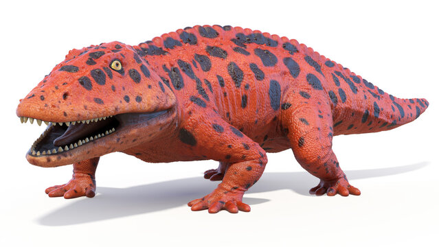 3d rendered dinosaur illustration of the Eryops
