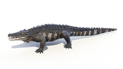 3d rendered dinosaur illustration of the Kaprosuchus